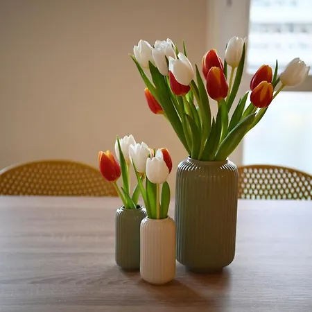 Apartamento Per Famiglie - Metro A - 20min Dal Centro Roma